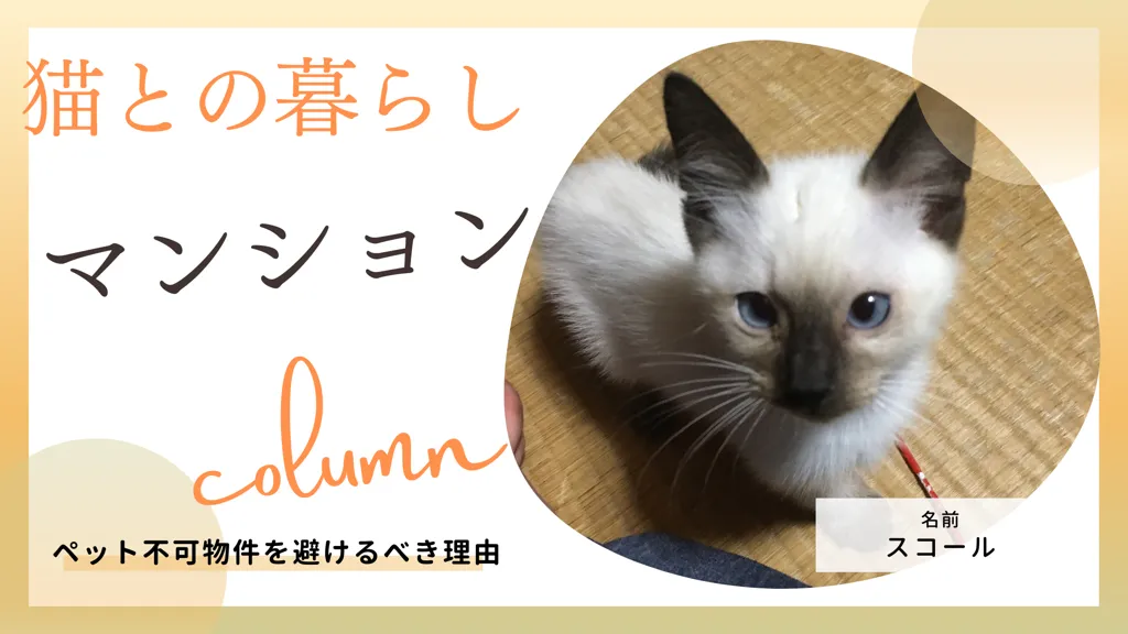 鳴かない猫ならマンションで飼える ペット不可物件を避けるべき理由と飼いやすい種類を紹介 ジーにゃあス Genyas